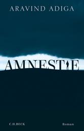 Amnestie - Roman