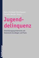 Hans-Christoph Steinhausen: Jugenddelinquenz 