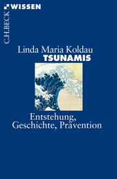 Tsunamis - Entstehung, Geschichte, Prävention