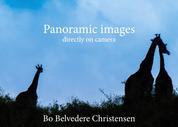 Panoramic images - directly on camera