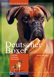 Deutscher Boxer - Charakter, Erziehung, Gesundheit