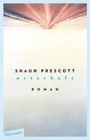 Shaun Prescott: Ortschaft 