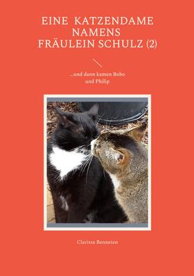 Eine Katzendame namens Fräulein Schulz (2)