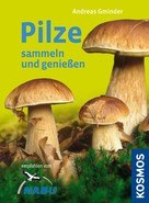 Andreas Gminder: Pilze sammeln und genießen ★★★★