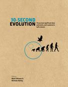 Mark Fellowes: 30-Second Evolution 