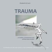 Trauma verstehen, (an)erkennen und achtsam überwinden! - Ein Arbeitsbuch für die ersten Schritte zu mehr Wohlbefinden, Selbstbewusstsein und Intuition