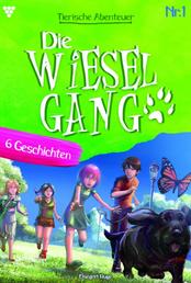 Die tierischen Abenteuer der Wiesel-Gang 1 – Kindergeschichten - Sechs Jugendgeschichten für schlaue Kids, die noch schlauer werden wollen!