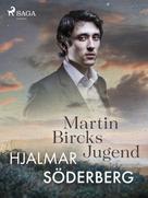 Hjalmar Söderberg: Martin Bircks Jugend 