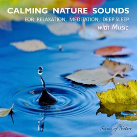 Calming Nature Sounds With Music: Sounds of Nature for Relaxation, Meditation, Deep Sleep