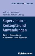 Andreas Hamburger: Supervision - Konzepte und Anwendungen 