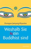 Dzongsar Jamyang Khyentse: Weshalb Sie (k)ein Buddhist sind ★★★★★