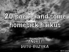 Andrei Dutu-Buzura: 20 poems and some homesick haikus 