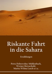 Riskante Fahrt in die Sahara - Erzählungen