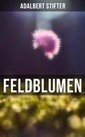 Adalbert Stifter: Feldblumen 