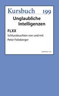 Peter Felixberger: FLXX | Schlussleuchten von und mit Peter Felixberger 