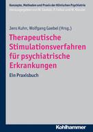 Jens Kuhn: Therapeutische Stimulationsverfahren für psychiatrische Erkrankungen 