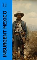 John Reed: Insurgent Mexico 