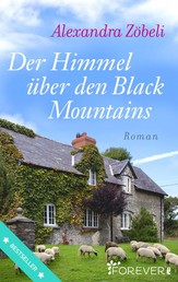 Der Himmel über den Black Mountains - Roman