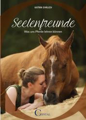 Seelenfreunde - Was Pferde uns lehren können