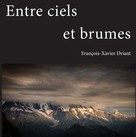 François-Xavier Driant: Entre ciels et brumes 