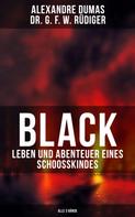Alexandre Dumas: Black: Leben und Abenteuer eines Schoosskindes (Alle 3 Bände) 