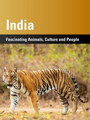 India - Fascinating Animals, Cultura and People
