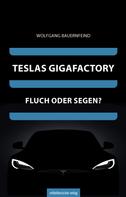 Wolfgang Bauernfeind: Teslas Gigafactory 