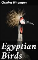 Charles Whymper: Egyptian Birds 