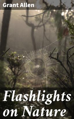 Flashlights on Nature