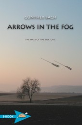 Arrows In The Fog - The Hair Of The Tortoise