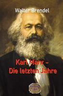 Walter Brendel: Karl Marx – Die letzten Jahre 