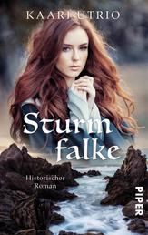 Sturmfalke - Historischer Roman