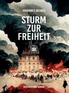 Johannes Beurle: Sturm zur Freiheit 