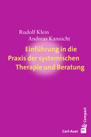 Rudolf Klein: Einführung in die Praxis der systemischen Therapie und Beratung 