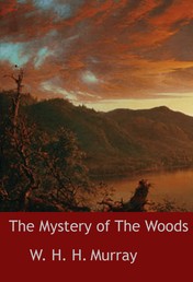 The Mystery of The Woods - novel
