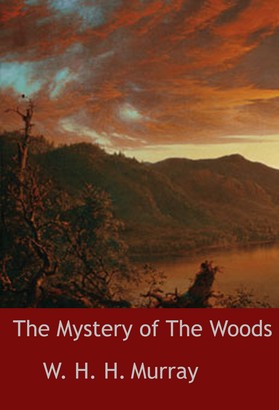 The Mystery of The Woods