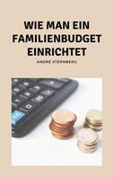André Sternberg: Wie man ein Familienbudget einrichtet 