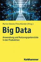 Marion Steven: Big Data 