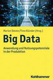 Big Data - Anwendung und Nutzungspotenziale in der Produktion