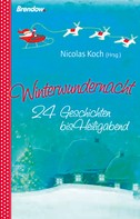 Nicolas Koch: Winterwundernacht 