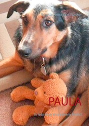 Paula - Erlebnisse mit einem Hund