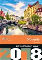 European Investment Bank: EIB Investment Survey 2018 - Slovenia overview 