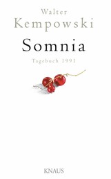 Somnia - Tagebuch 1991