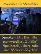 Johanna H. Wyer: Echt Spooky - Das Buch der Merkwürdigen Zufälle ★★★