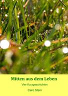 Caro Stein: Mitten aus dem Leben 