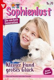 Sophienlust - Die nächste Generation 20 – Familienroman - Kleiner Hund - großes Glück