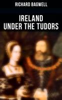 Richard Bagwell: Ireland under the Tudors 