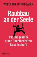 Wolfgang Schmidbauer: Raubbau an der Seele ★★★★