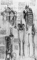 Sidney H. Reynolds: The Vertebrate Skeleton 