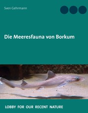 Die Meeresfauna von Borkum - Was lebt im Meer rund um die Insel?